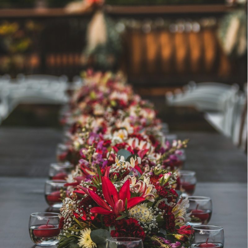 jose-leon-msBeBWF0waw-unsplash